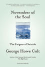 Alternative view 2 of November of the Soul: The Enigma of Suicide