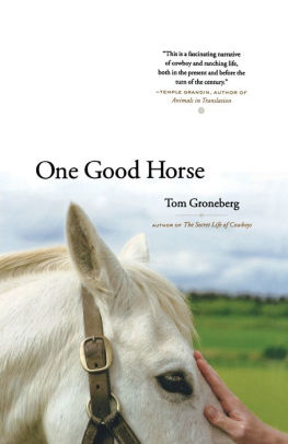 One Good Horse By Tom Groneberg Paperback Barnes Noble