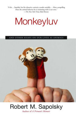 monkeyluv and other essays on our lives as animals A primate's memoir, monkeyluv: and other essays on our lives as animals, and behave: the biology of humans at our best and worst. monkeyluv and other essays on our lives as animals A primate's memoir, monkeyluv: and other essays on our lives as animals, and behave: the biology of humans at our best and worst.