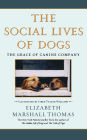 The Social Lives of Dogs