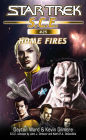 Star Trek S.C.E. #25: Home Fires