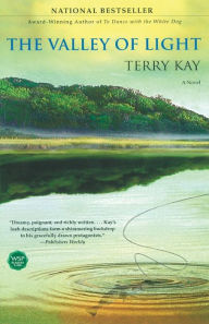 Title: The Valley of Light, Author: Terry Kay