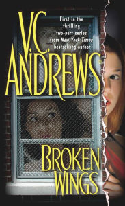 Broken Wings (Broken Wings Series #1)