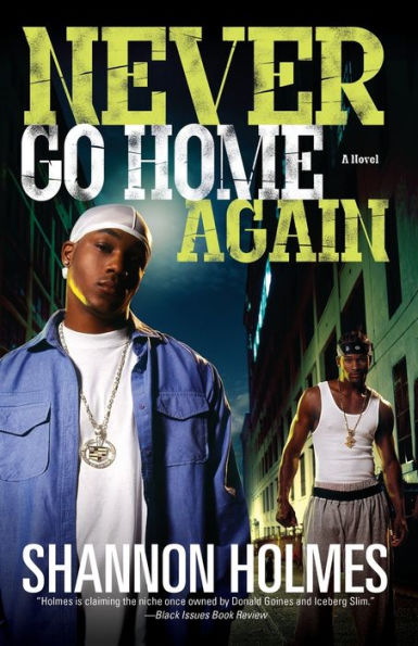 Never Go Home Again: A Novel