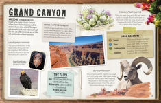 Alternative view 3 of The National Parks: Discover all 62 National Parks of the United States!