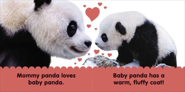 Baby Touch and Feel Panda