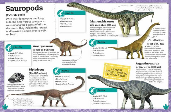 My Book of Dinosaurs and Prehistoric Life: Animals plants to amaze, surprise, astonish!