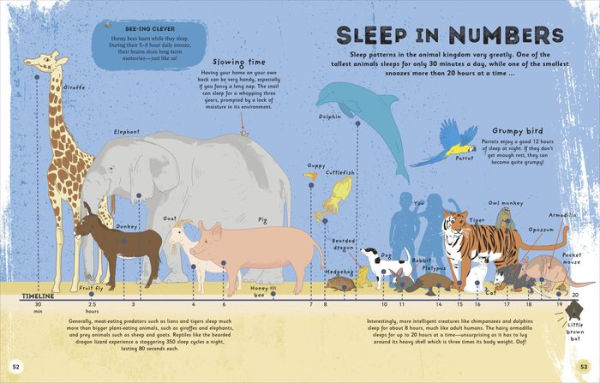 The Magic of Sleep: A fascinating guide to the world of slumber