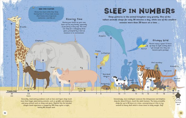 the Magic of Sleep: A fascinating guide to world slumber