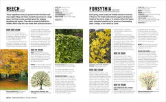 Alternative view 2 of Grow Pruning and Training: Essential Know-how and Expert Advice for Gardening Success