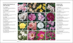 Alternative view 3 of How to Garden, New Edition: A practical introduction to gardening