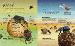 Alternative view 3 of La vida secreta de los insectos (The Book of Brilliant Bugs)