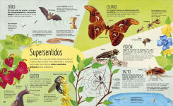 Alternative view 4 of La vida secreta de los insectos (The Book of Brilliant Bugs)