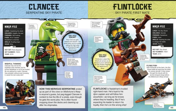 Ninjago best sale encyclopedia 2021