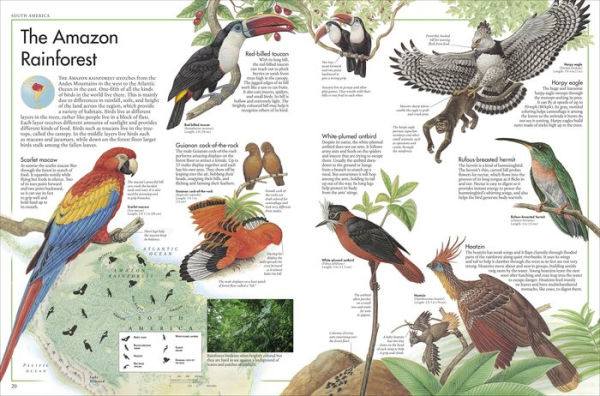 The Bird Atlas