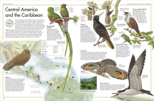 The Bird Atlas by Barbara Taylor, Richard Orr, Hardcover | Barnes & Noble®