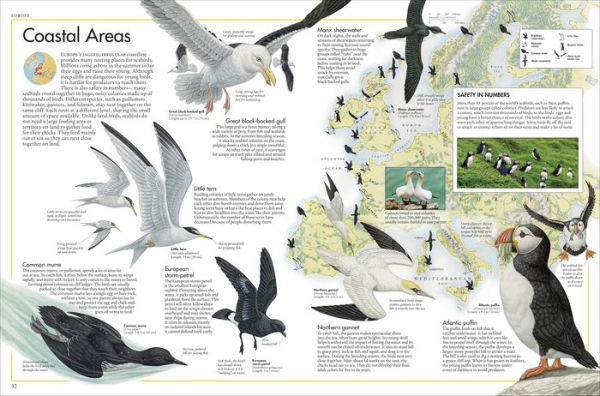 The Bird Atlas