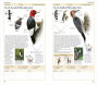 Alternative view 3 of AMNH Birds of North America Eastern