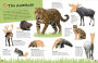 Alternative view 2 of The Ultimate Sticker Book Animals: More Than 250 Reusable Stickers, Including Giant Stickers!