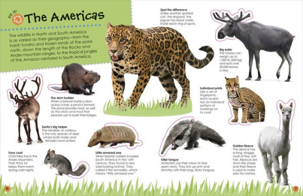 Libro de pegatinas reutilizables – World Animals Stickers - Eurekakids