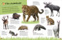 Alternative view 5 of The Ultimate Sticker Book Animals: More Than 250 Reusable Stickers, Including Giant Stickers!