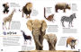 Alternative view 6 of The Ultimate Sticker Book Animals: More Than 250 Reusable Stickers, Including Giant Stickers!
