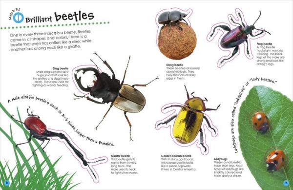 The Ultimate Sticker Book Bugs