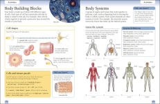 Alternative view 2 of Eyewitness Workbooks Human Body