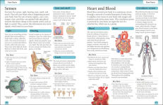 Alternative view 3 of Eyewitness Workbooks Human Body