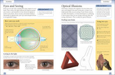 Alternative view 4 of Eyewitness Workbooks Human Body