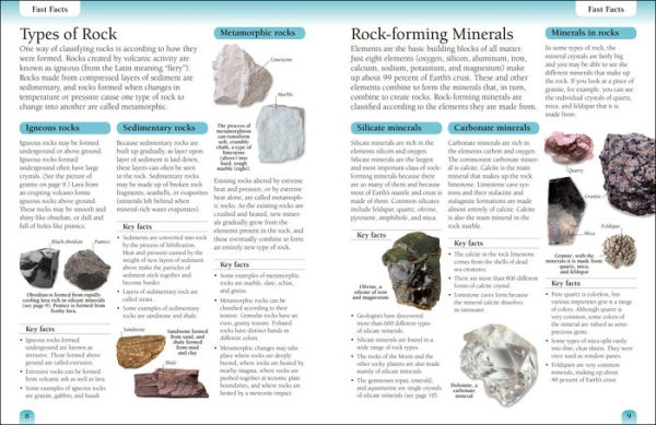 Eyewitness Workbooks Rocks & Minerals