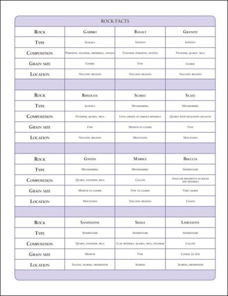 Eyewitness Workbooks Rocks & Minerals