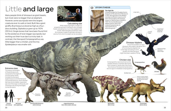 Eyewitness Dinosaur