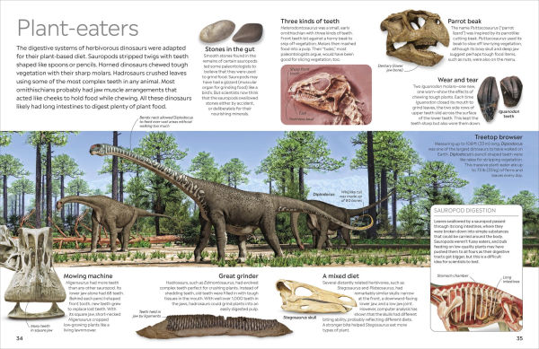 Eyewitness Dinosaur