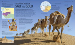 Alternative view 5 of Explanatorium of History: From the First Tools to the Climate Crisis