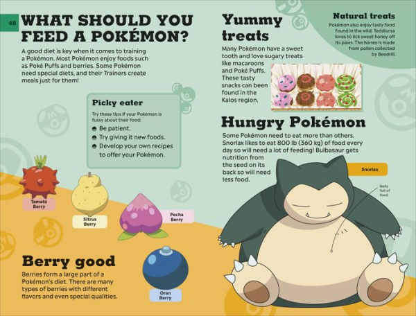 Your Online Pokemon Guide