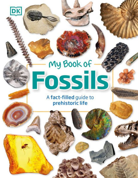 My Book of Fossils: A fact-filled guide to prehistoric life