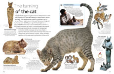 Alternative view 3 of Eyewitness Cat