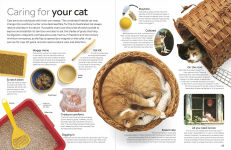 Alternative view 4 of Eyewitness Cat
