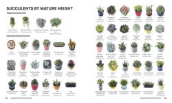 Alternative view 11 of Succulents: Everything You Need to Select, Pair and Care for Succulents