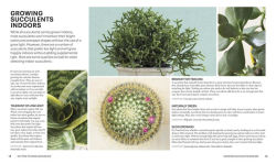 Alternative view 2 of Succulents: Everything You Need to Select, Pair and Care for Succulents
