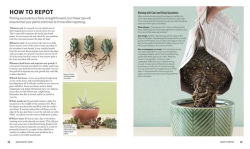 Alternative view 3 of Succulents: Everything You Need to Select, Pair and Care for Succulents