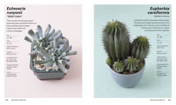 Alternative view 7 of Succulents: Everything You Need to Select, Pair and Care for Succulents
