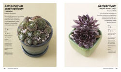 Alternative view 10 of Succulents: Everything You Need to Select, Pair and Care for Succulents