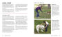 Alternative view 4 of How to Train Your Dog: A Relationship-Based Approach for a Well-Behaved Dog