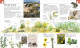 Alternative view 12 of Nature Handbook: Explore the Wonders of the Natural World