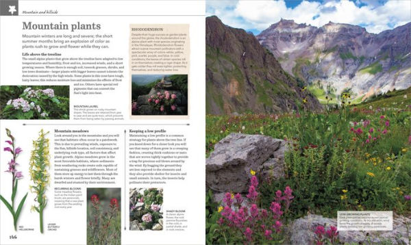 Nature Handbook: Explore the Wonders of the Natural World