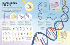 Alternative view 5 of Active Learning! Human Body: More than 100 Brain-Boosting Activities that Make Learning Easy and Fun