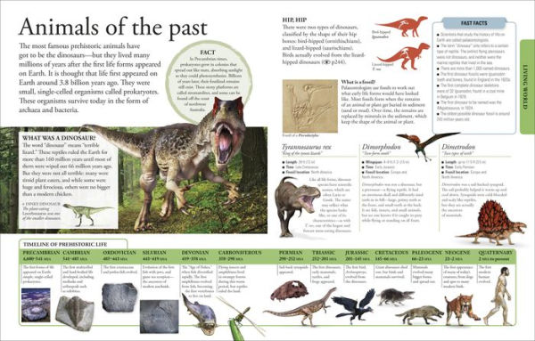 The New Children's Encyclopedia: Packed with thousands of facts, stats, and illustrations