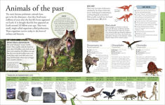 Alternative view 4 of The New Children's Encyclopedia: Packed with thousands of facts, stats, and illustrations